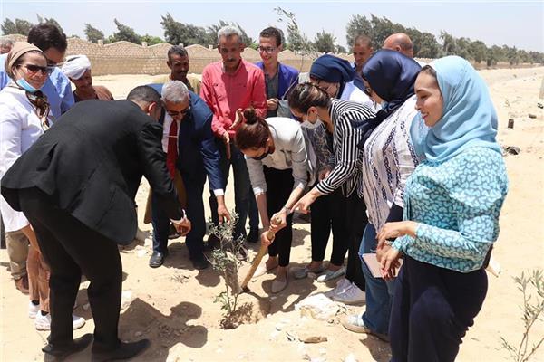 نائب المحافظ تتفقد قرية كفر حلاوة بمركز أطفيح وزراعة 1100 شجرة مثمرة بالمركز
