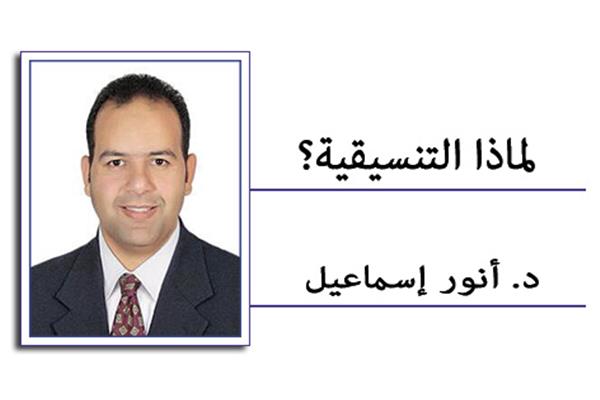 د. أنور إسماعيل عضو تنسيقية شباب الأحزاب والسياسيين