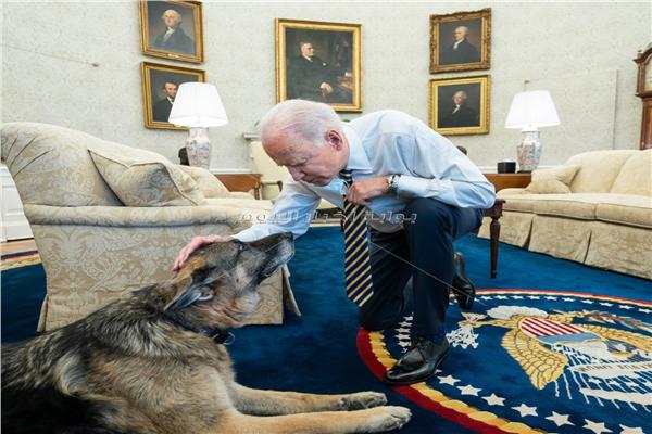 الرئيس الأمريكي جو بايدن مع كلبه تشامب