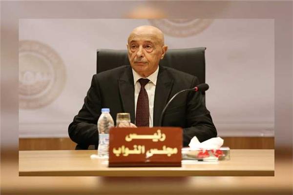 رئيس مجلس النوب الليبي المستشار عقيلة صالح