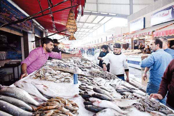 سوق السمك فى بورسعيد بعد تطويره