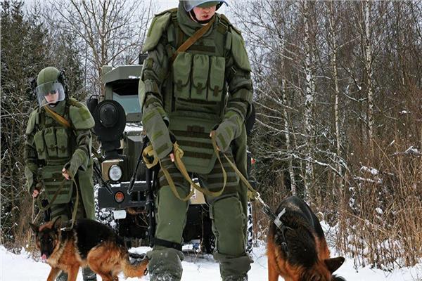 روسيا تعمل على نظام المظلة لإنزال الكلاب 