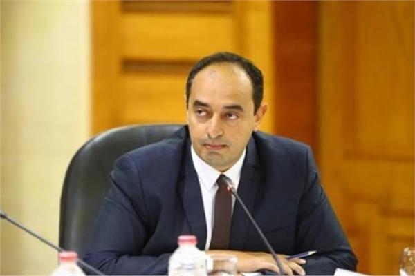 عمرو عثمان، مساعد وزيرة التضامن الاجتماعي