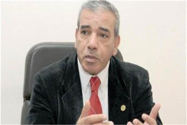 الدكتور عباس شراقي أستاذ الجيولوجيا والموارد المائية بجامعة القاهرة