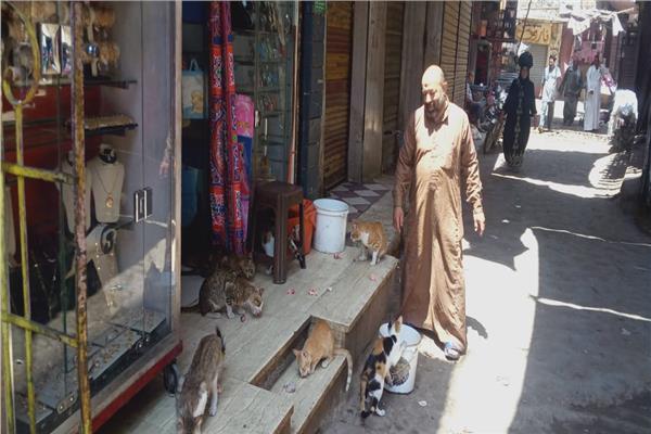 «ناصر» يطعم قطط وكلاب الشوارع بمصر والسعودية
