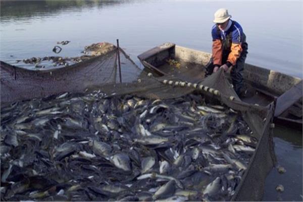 ارتياح لدى الصيادين من قوانين الثروة السمكية