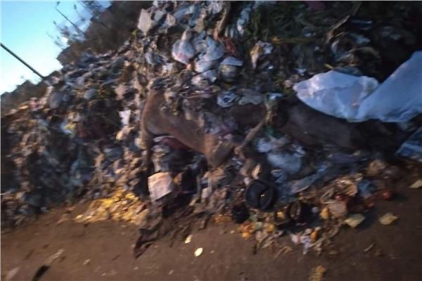 تلال من القمامة بمدينة سمنود بالغربية