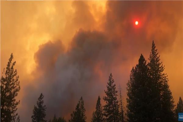 الحرائق تلتهم غابة جنوب ولاية كاليفورنيا
