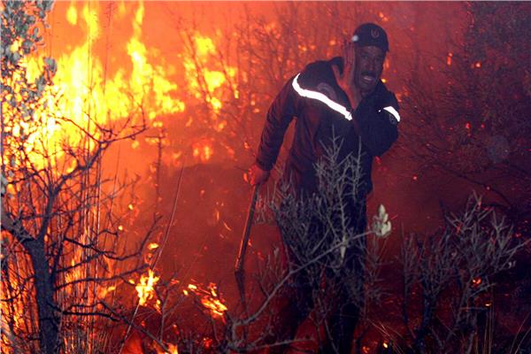 محاولات للسيطرة على حرائق الغابات في الجزائر
