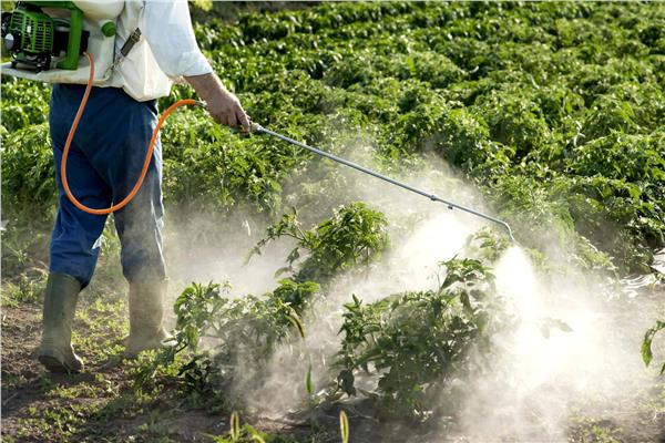 تاثير المبيدات الزراعية على النباتات