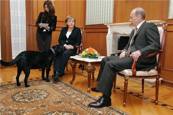 جانب من لقاء المستشارة الألمانية أنجيلا ميركل والرئيس الروسي