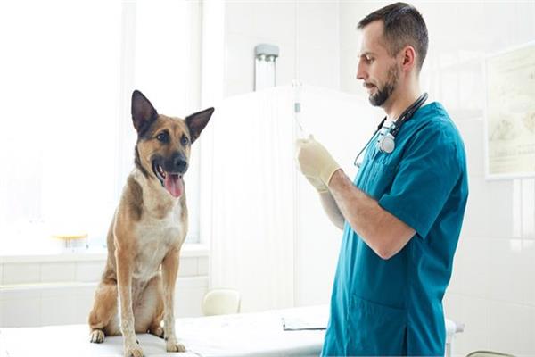 الممرض الذي تعرض للإهانة علي يد طبيب وأمره بالسجود لكلب