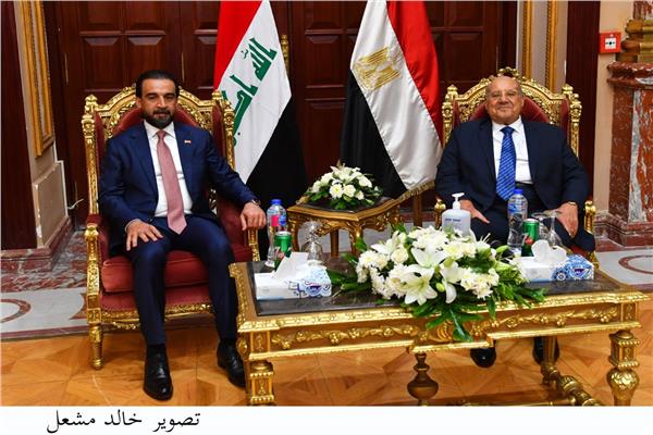 المستشار عبد الوهاب عبد الرازق يستقبل رئيس مجلس النواب العراقي 