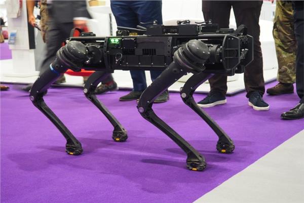 كلب عسكري روبوت