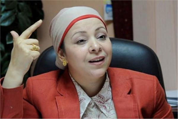 نهاد أبو القمصان، رئيس المركز المصري لحقوق المرأة