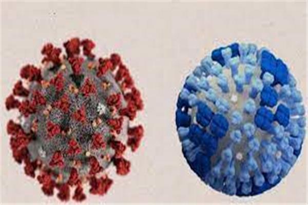 الفرق بين والأنفلونزا وكورونا - صورة أرشيفية