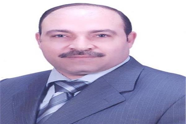 النائب حسن المير عضو مجلس النواب