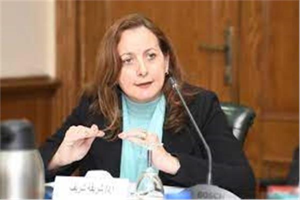  الدكتورة شريفة شريف ممثل مصر في لجنة الحوكمة العامة بمنظمة التعاون الاقتصادي والتنمية