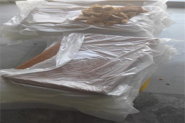 تموين الغربية يضبط ٥ آلاف علبة حلوى المولد فاسدة بطنطا 