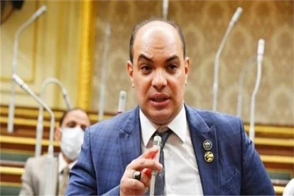 النائب علاء حمدي قريطم عضو مجلس النواب