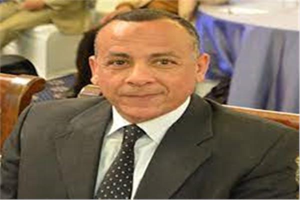 الدكتور مصطفى وزيري، أمين المجلس الأعلى للأثار