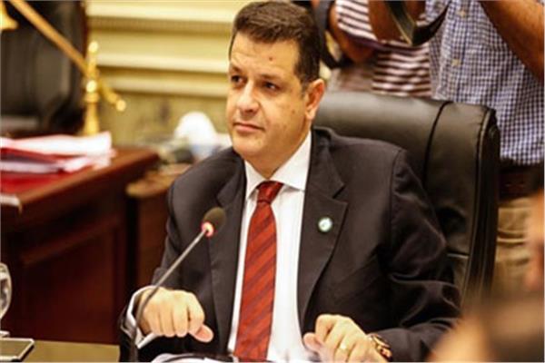 النائب طارق رضوان، رئيس لجنة حقوق الإنسان بمجلس النواب