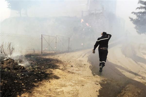 حرائق الغابات فى الجزائر تسببت فى خسائر فادحة