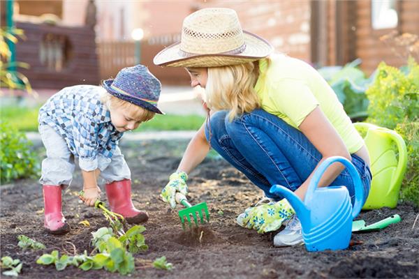أفكار بسيطة لتعليم طفلك الزراعة