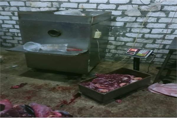 إعدام طن لحم حمير داخل مزرعة