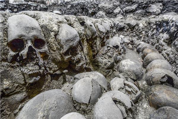 جمجمة صغيرة لإنسان انقرضت منذ آلاف السنين