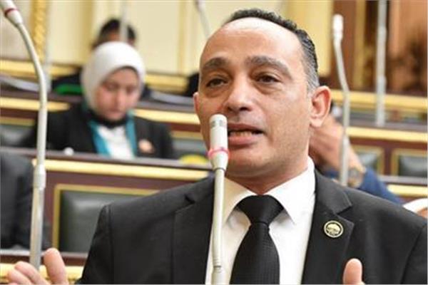 نائب فريدي البياضي عضو مجلس النواب