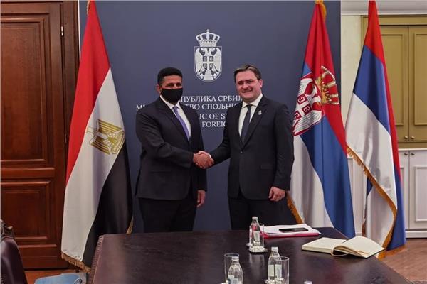 سفير مصر في بلجراد خلال لقاءه بوزير خارجية صربيا