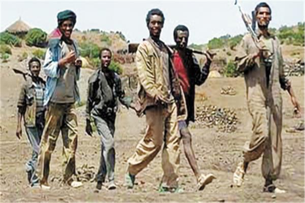  مقاتلى التيجراى يتقدمون نحو العاصمة أديس أبابا
