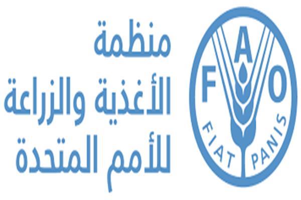  منظمة الأغذية والزراعة للأمم المتحدة في مصر