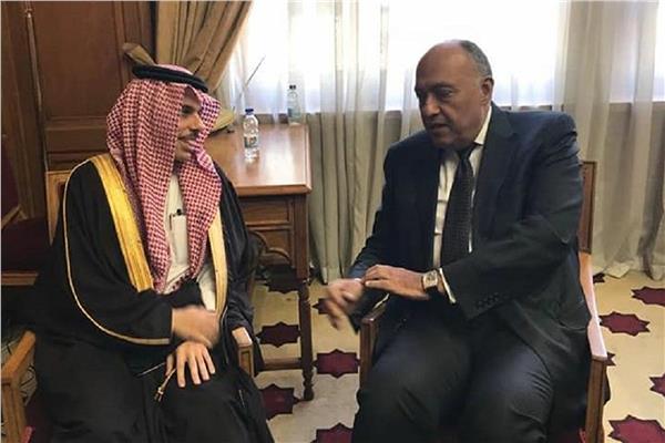 وزير الخارجية المصري ونظيره السعودي