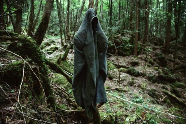 أكيجارهارا.. غابة الانتحار اليابانية 