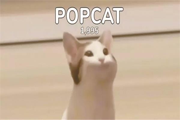 صورة اللعبة popcat