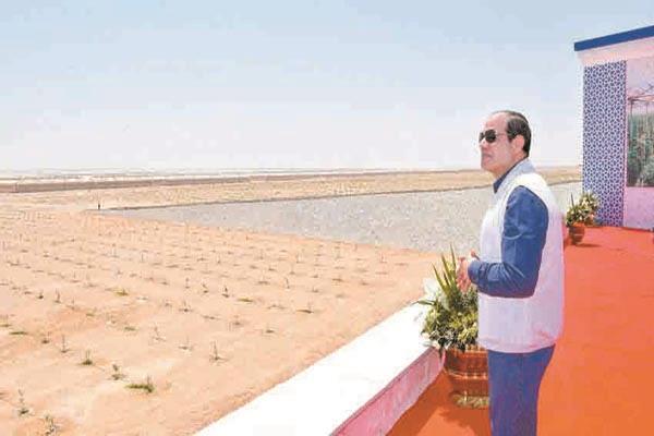 افتتاح الرئيس عبدالفتاح السيسى لمشروع الصوب الزراعية نقلة كبيرة لتحقيق الأمن الغذائى