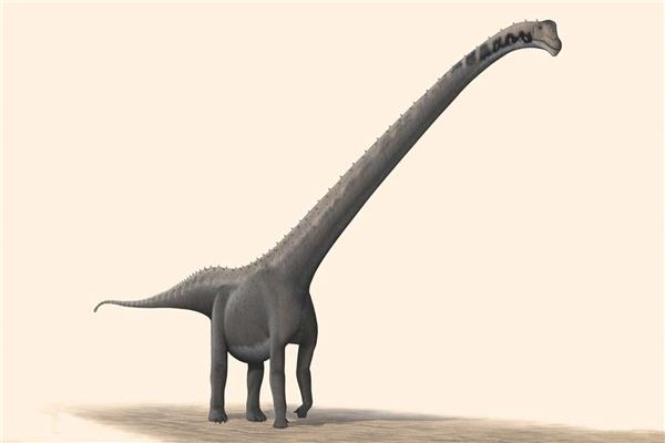 أنواعاً جديدة من الديناصور طويل العنق