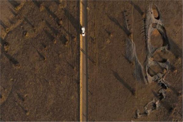 اكتشاف كائن جوراسي عملاق تمتد عظامه على مساحة واسعة من الأرض