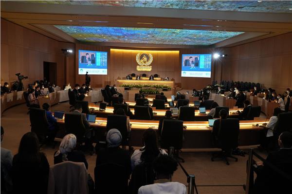 جلسة محاكاة «حقوق الإنسان الدولي» التابع لمنظمة الأمم المتحدة