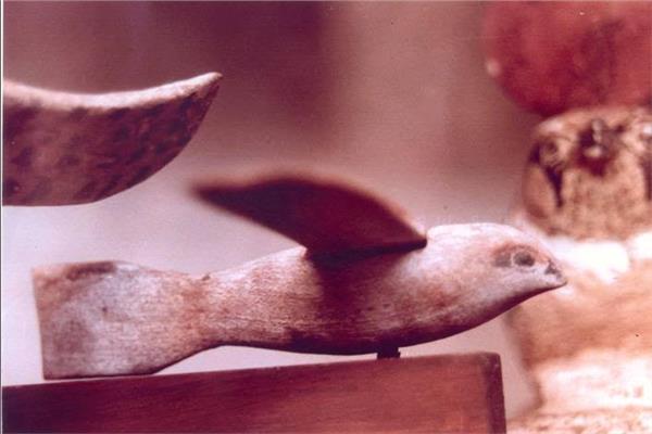  طائر بالمتحف المصرى