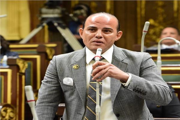 النائب عمرو القطامي، عضو الطاقة والبيئة بمجلس النواب