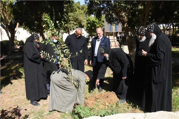 زراعة 1500 شجرة بدير الأنبا باخوم