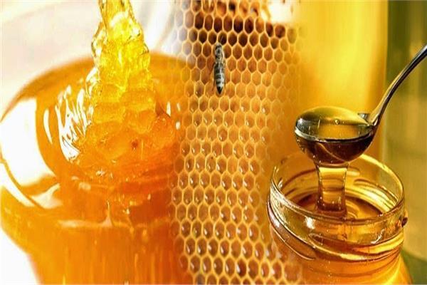 انطلاق مهرجان العسل المصري