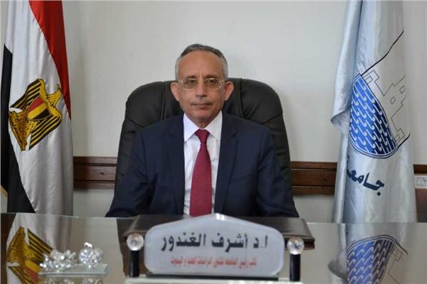 الدكتور أشرف الغندور، نائب رئيس جامعة الإسكندرية