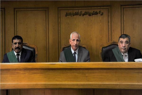 هيئة المحكمة برئاسة المستشار حمدى الشنوفى