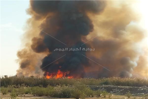 صور.. حريق هائل في أرض زراعية بعزبة أبوآدم بالإسماعيلية 