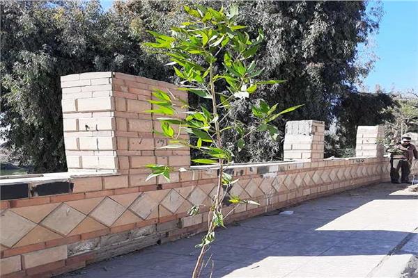 " سوهاج " : زراعة 1570 شجرة بحي غرب منذ انطلاق المبادرة