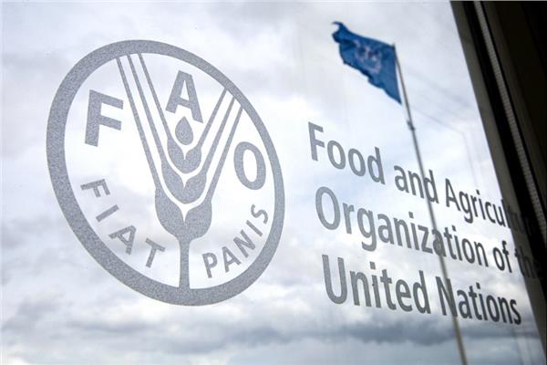 منظمة الأغذية والزراعة التابعة للأمم المتحدة